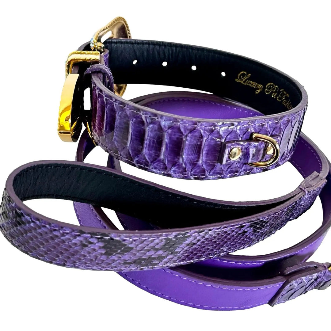 Amethyst Royale Python Set of purple python collars with gold hardware by Allysa Payne Beverly Hills