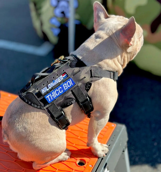 Thicc Boi Embroidered Morale Patch 4 By 1 For Vests And Harness Wear by kiloninerpets