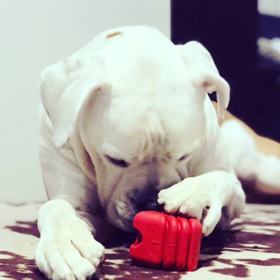 SodaPup heart-shaped rubber dog toy with string handle, view 9