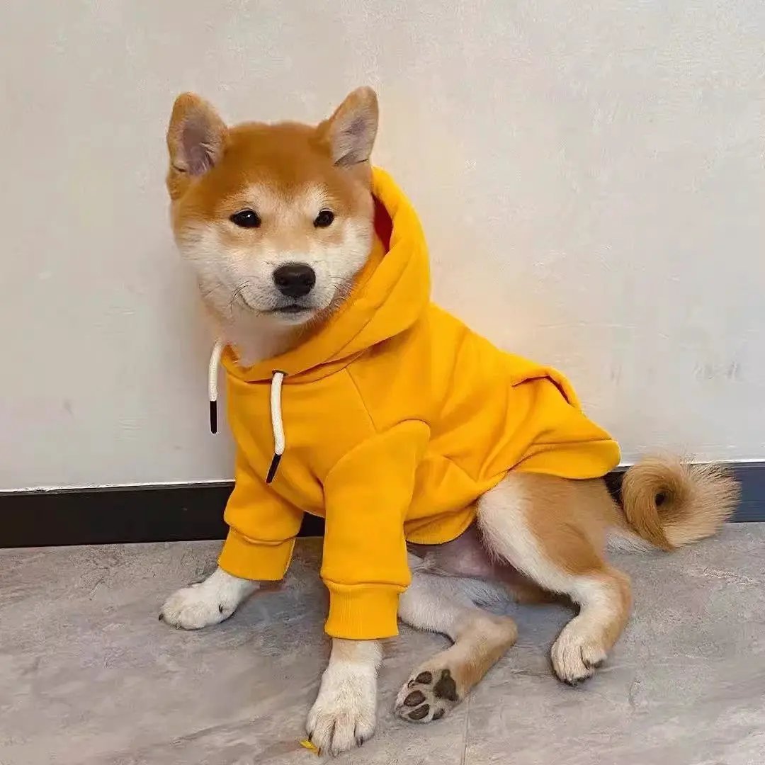 Spring Hoodie for small & medium dogs by SOCKPET, bright yellow with white drawstrings