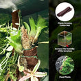 Load image into Gallery viewer, REPTIZOO 67-Gallon glass reptile terrarium with lush plants and included Cotton Growing Mat
