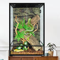 Load image into Gallery viewer, REPTIZOO 90 Gallon glass terrarium by PawMart, 24x24x36, front-opening door with top vent, snake inside

