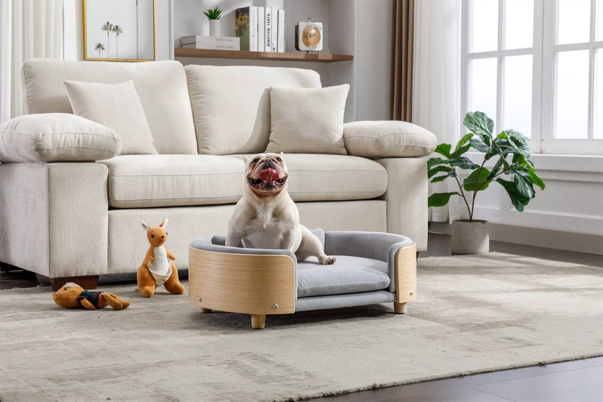 Scandinavian Style Elevated Dog Bed Pet Sofa Velvet Cushion Mid Size Light Grey by HouseOfZazla
