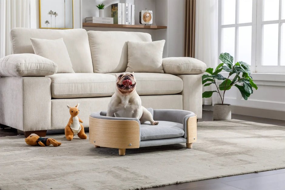 Scandinavian Style Elevated Dog Bed Pet Sofa Velvet Cushion Mid Size Light Grey by HouseOfZazla