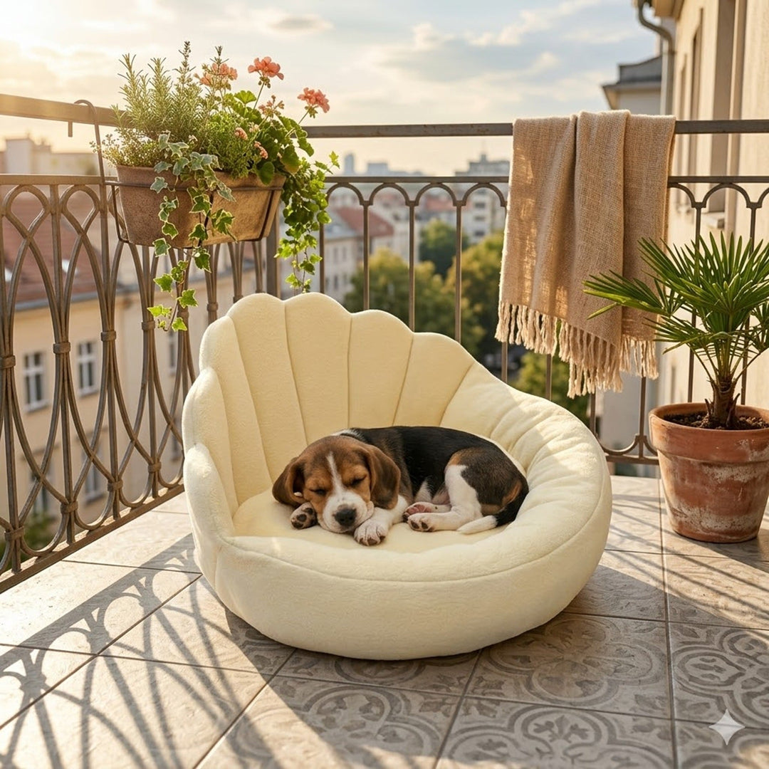 Scalloped pet sofa in balcony setting