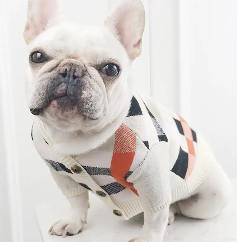 Pet Zen dog sweater in cream argyle knit with orange accents and front buttons