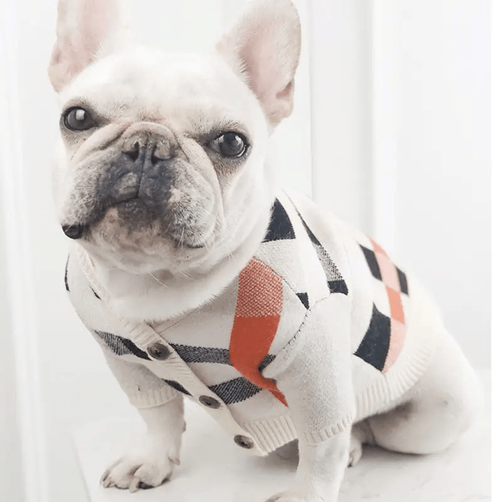 Pet Zen dog sweater in cream argyle knit with orange accents and front buttons