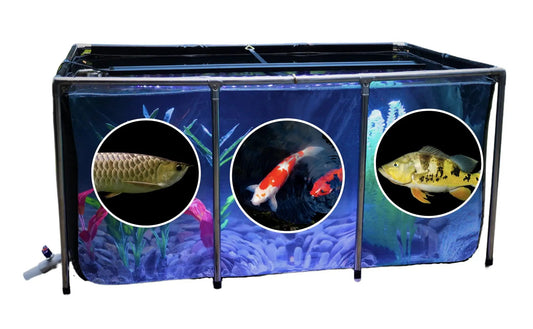Aquarium Pool Pond Transparent Collapsible - SOFTTANK 270 Gallon Fish Tank Koi Pond Outdoor Indoor Pool Pond for Fish Turtle Tank Pond Clear Transparent Viewing Window Panel Drain Valve - from For Animals, With Love