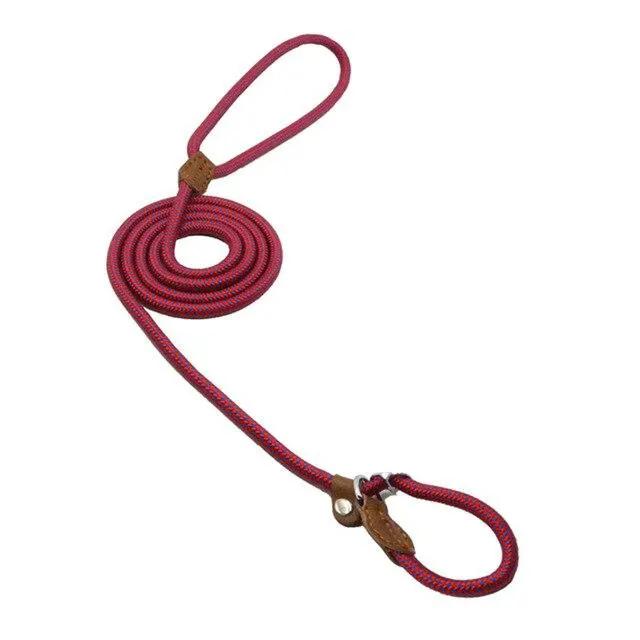 Nylon Pup Set Premium Leather Collar Leash Double Stitch Design by For Animals, With Love