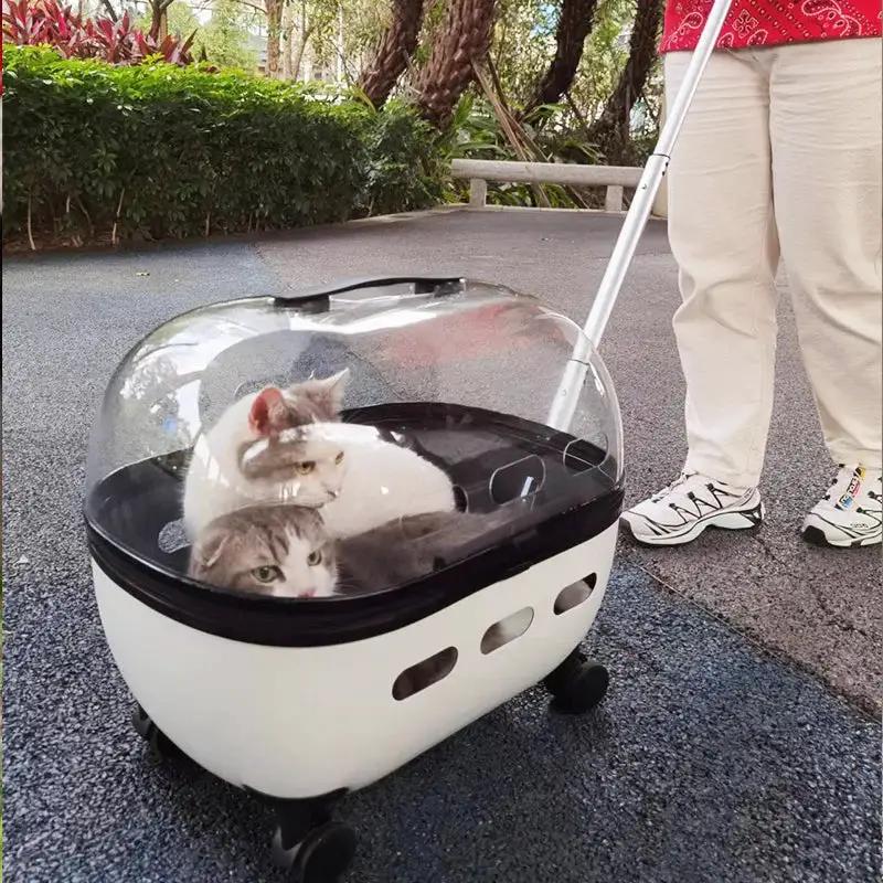 Transparent capsule pet travel trolley carrier with wheels, two cats inside, by VIP Digital Presence