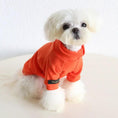 Load image into Gallery viewer, SOCKPET small dog two-legged orange sweater, solid knit with visible brand tag on sleeve; cute fluffy white dog.
