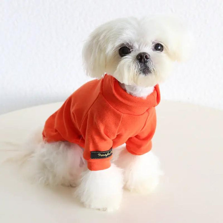 SOCKPET small dog two-legged orange sweater, solid knit with visible brand tag on sleeve; cute fluffy white dog.