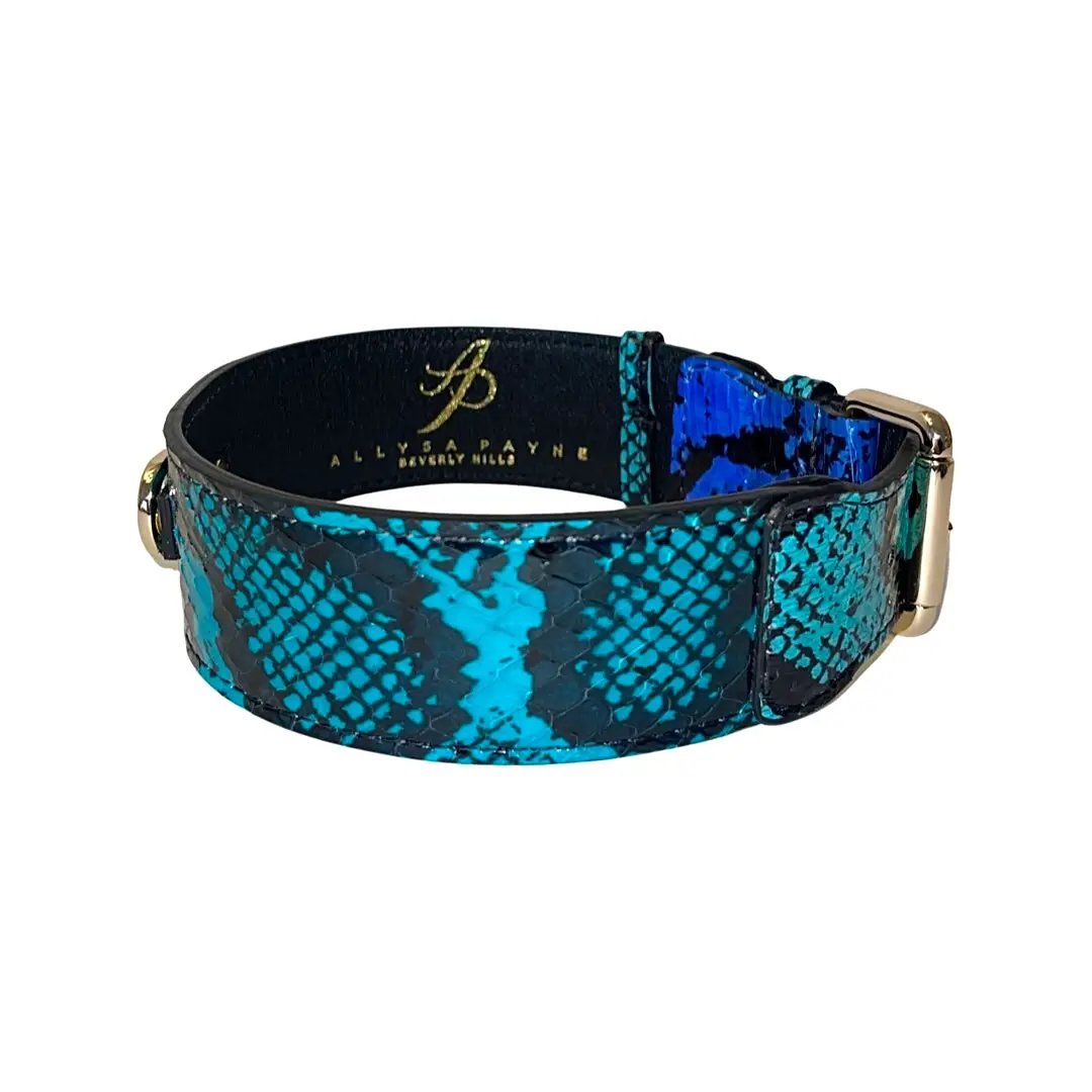 Collar, turquoise blue and black snakeskin with gold hardware, Allysa Payne Beverly Hills.