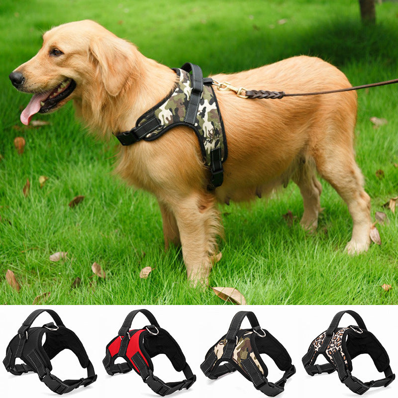 Dog wearing camouflage harness with separate leash