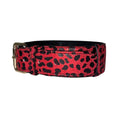 Load image into Gallery viewer, Red & Black Leopard Print Italian Leather Classic Collar by Allysa Payne Beverly Hills with a gold-tone buckle
