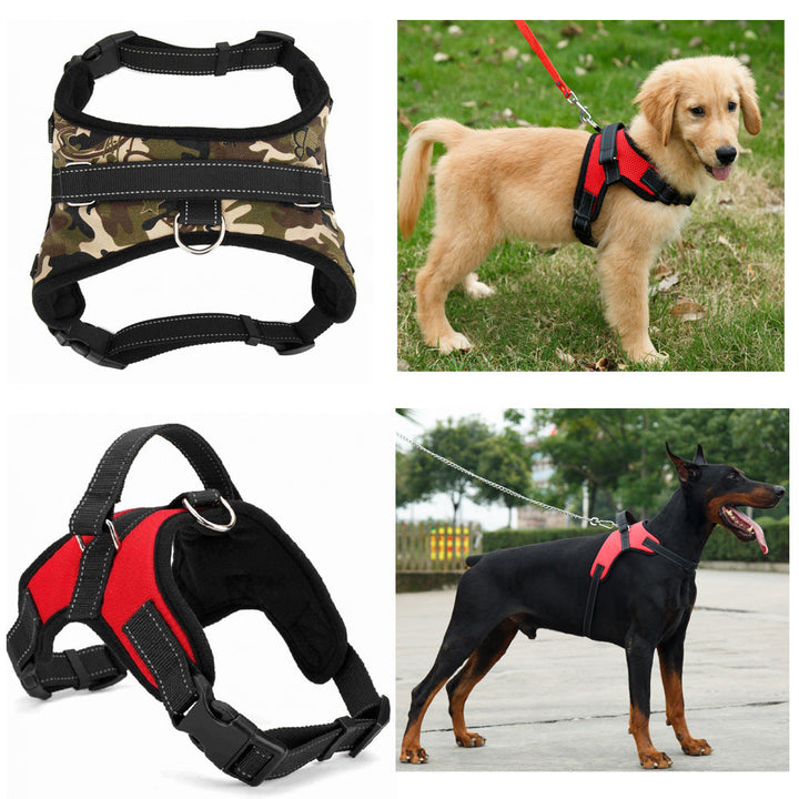 Harness detail collage and dogs wearing harnesses