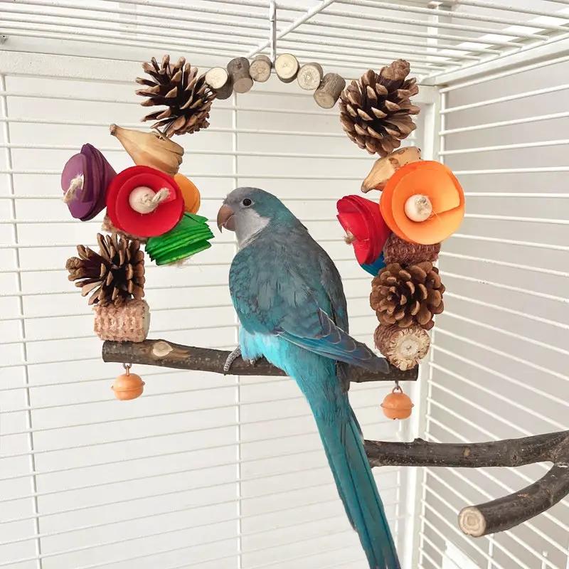 Premium Natural Wood Parrot Swing Claw Toy Pine Nut Grinding Tool by Sell My Stuff