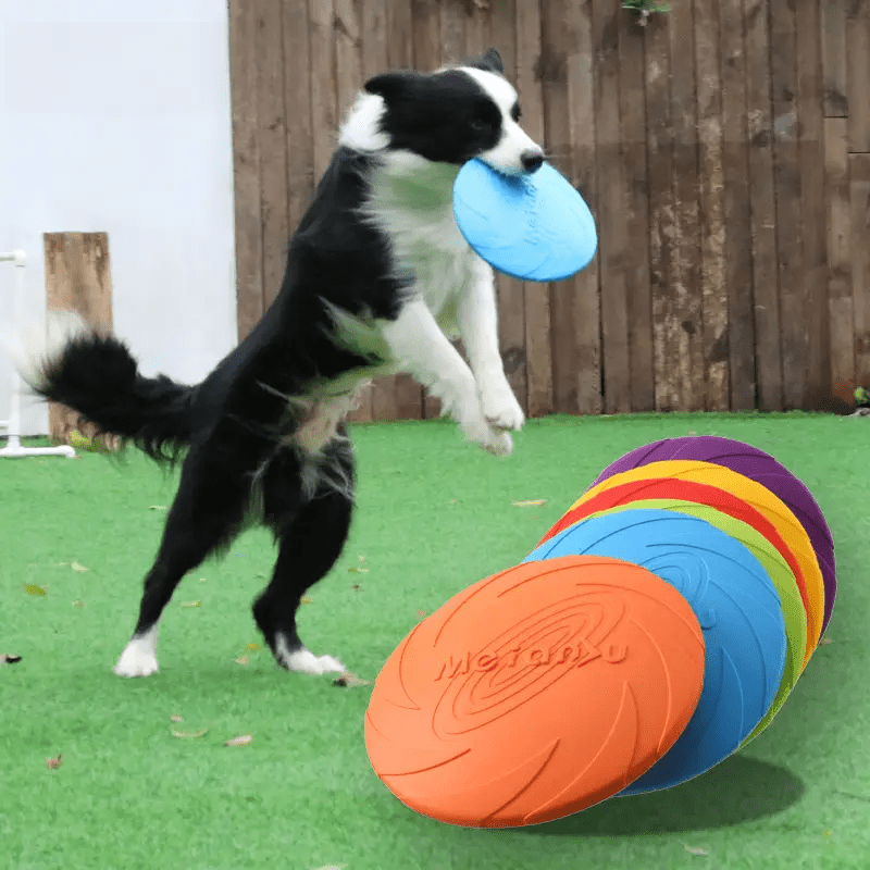 Meianju Dog Frisbee - Interactive Pet Toy for Training - from For Animals, With Love