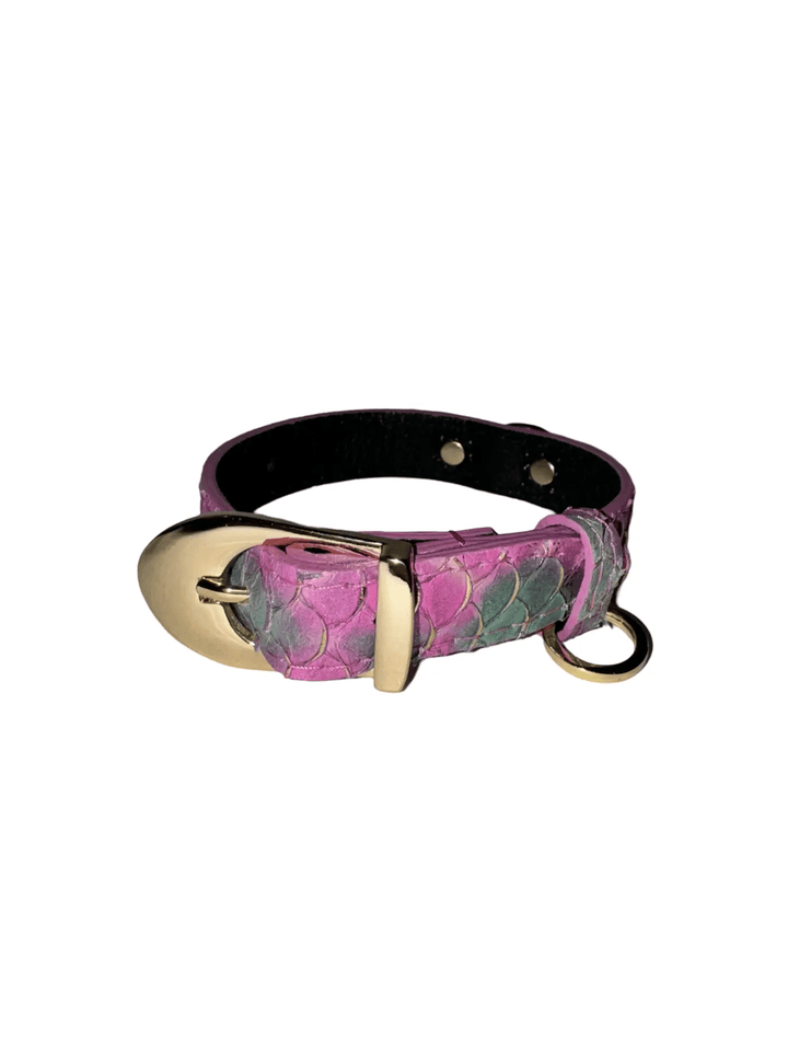 Mermaid Collection XS Collar by Allysa Payne Beverly Hills, pink purple teal mermaid-scale pattern with gold buckle