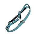 Bild in Galerie-Betrachter laden, Tiffany Collection Turquoise Blue Harness by Allysa Payne Beverly Hills
