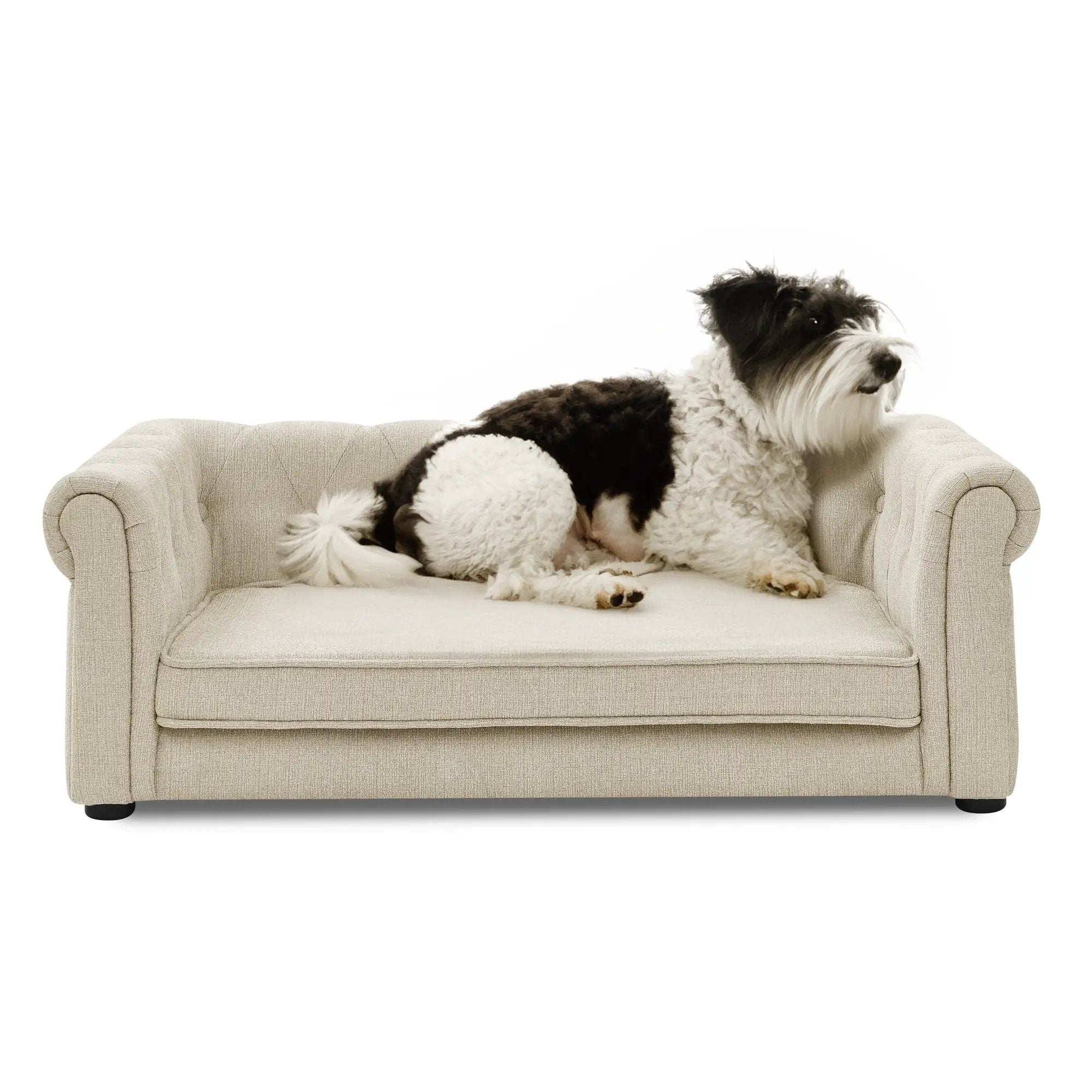 Large Beige Elevated Pet Sofa Bed Indoor Lounge For Dogs And Cats by V.I.P Digital Presence