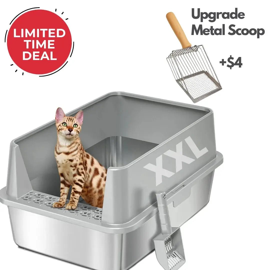 XXL 304 Stainless Steel Cat Litter Box by 4FurBaby