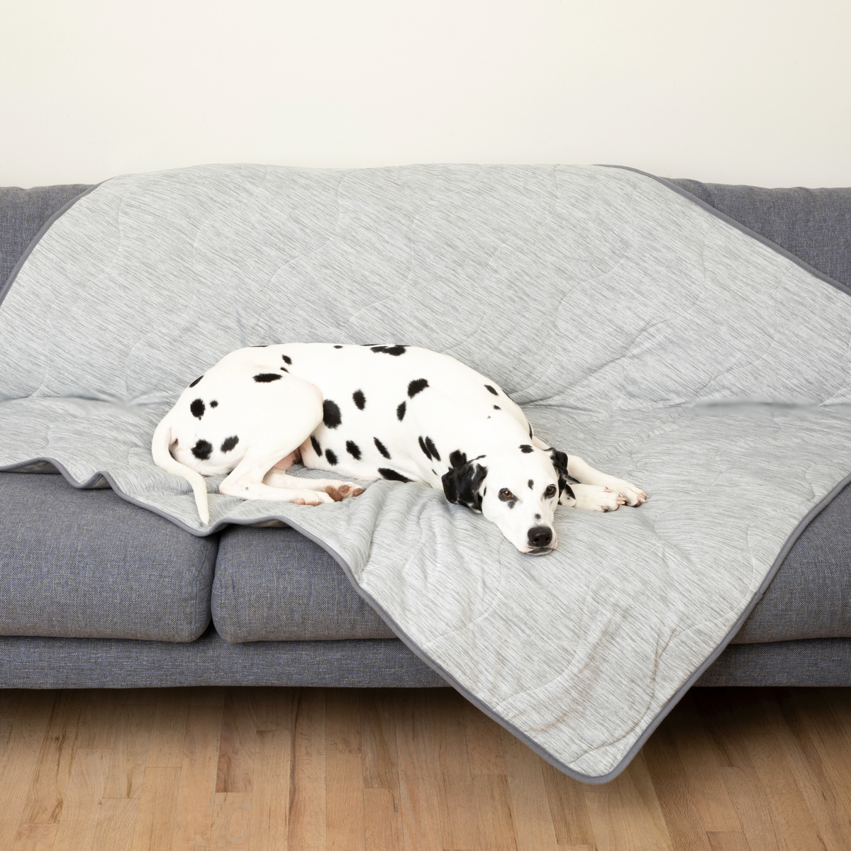 PupChill™ Cooling Waterproof Blanket Arctic Grey on a sofa with two Dalmatian dogs