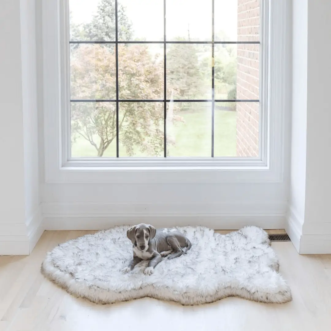 PupRug by Paw.com® Faux Fur Orthopedic Dog Bed - Curve White with Brown Accents