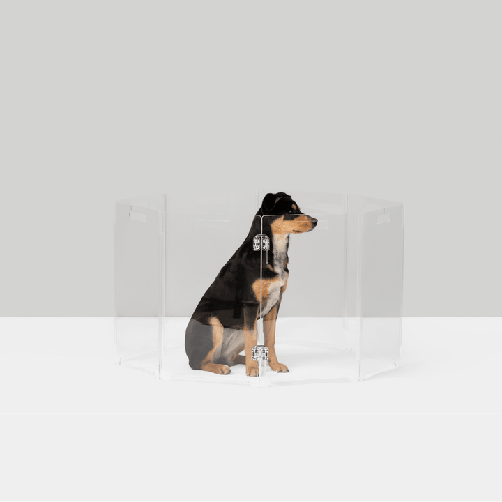 Hiddin Clear Acrylic Round Pet Playpen with Door