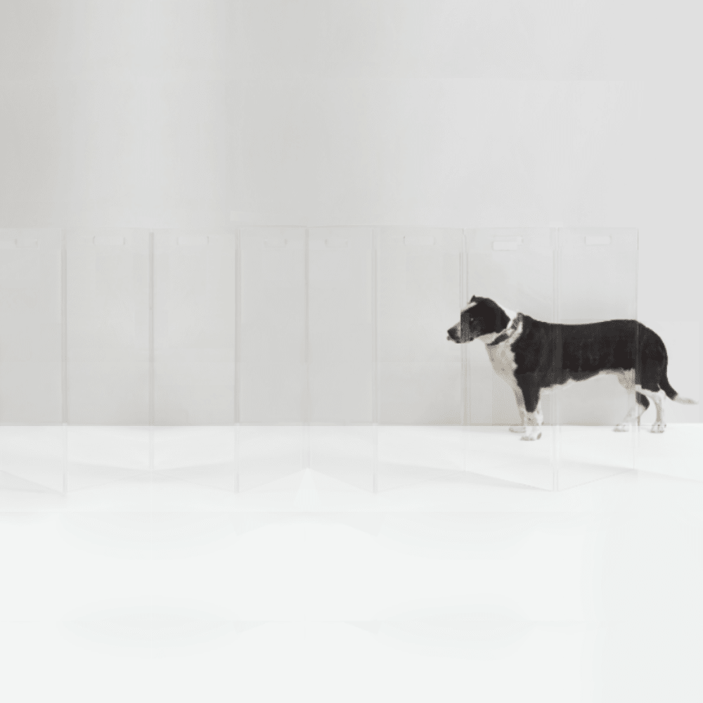 Hiddin Tall Clear Acrylic Zig Zag Pet Gate – Freestanding
