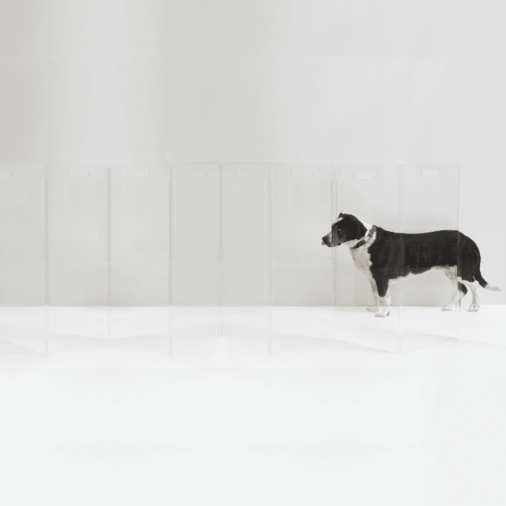Hiddin Tall Clear Acrylic Zig Zag Pet Gate – Freestanding
