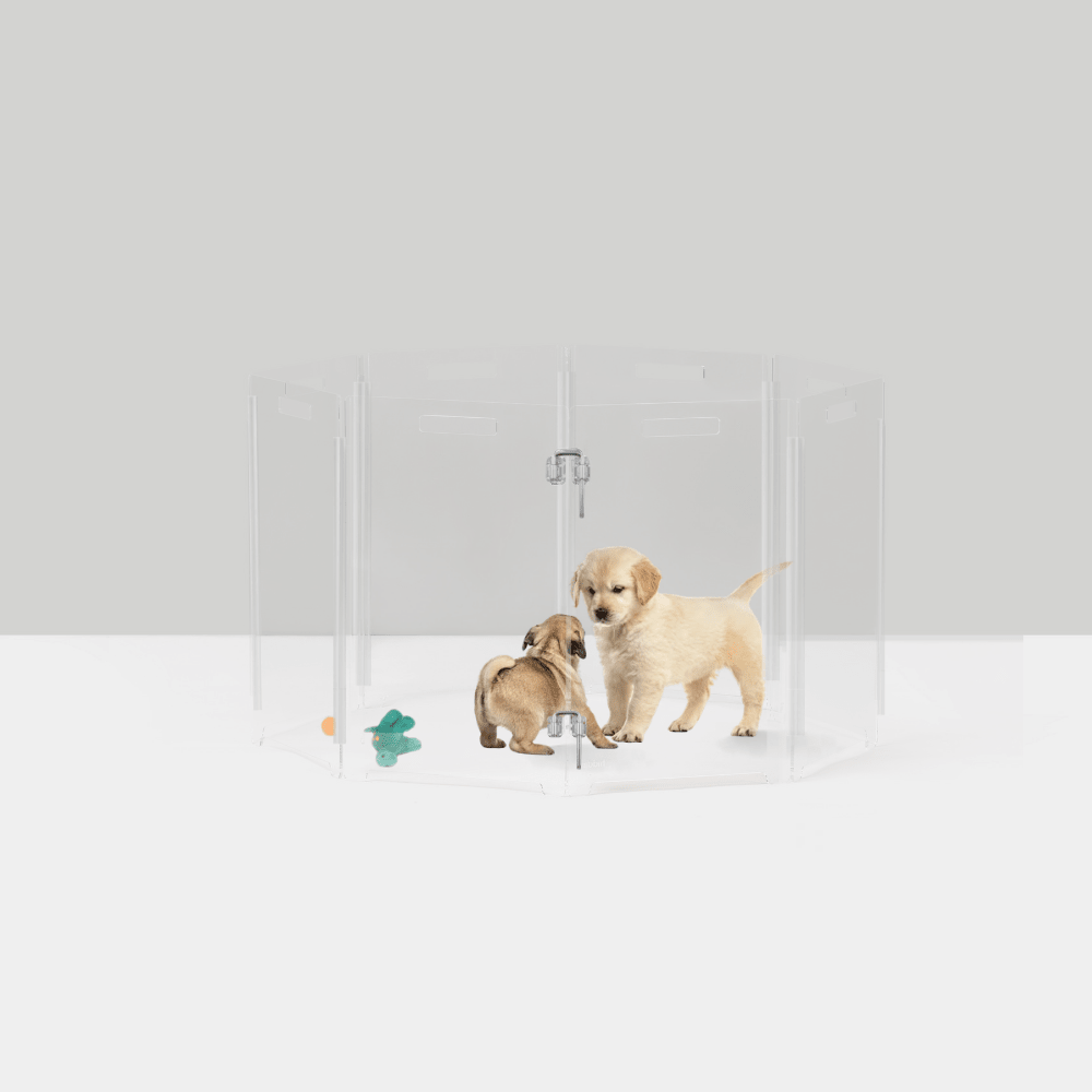 Hiddin Clear Acrylic Round Pet Playpen with Door