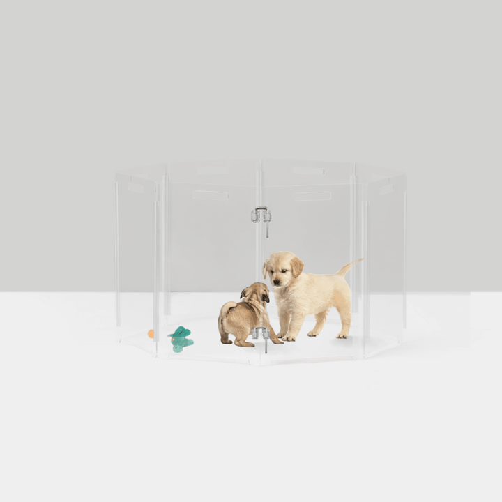 Hiddin Clear Acrylic Round Pet Playpen with Door