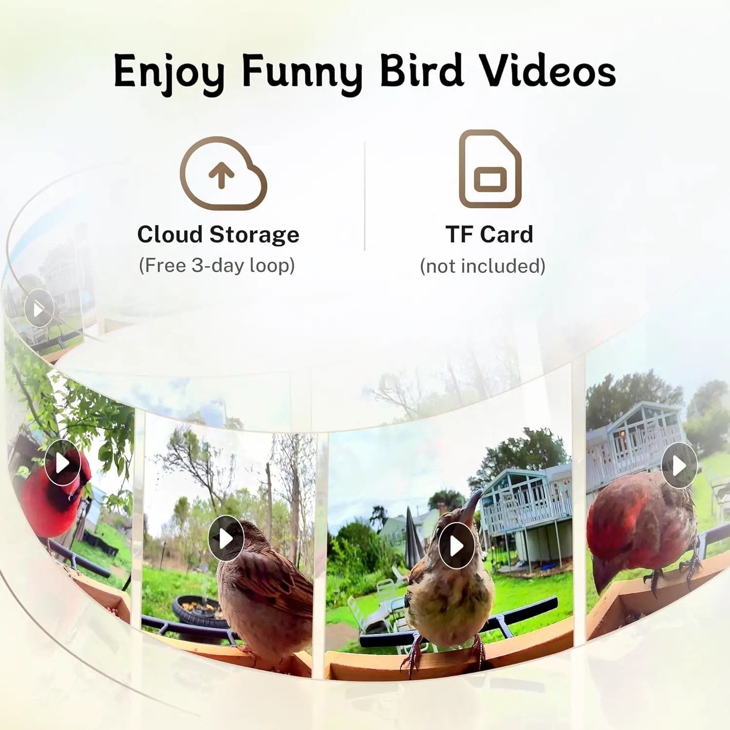 Bird Feeder Camera WiFi Smart AI Motion Detection 1080P 1.5L by Wags & Whiskers Pet Supply