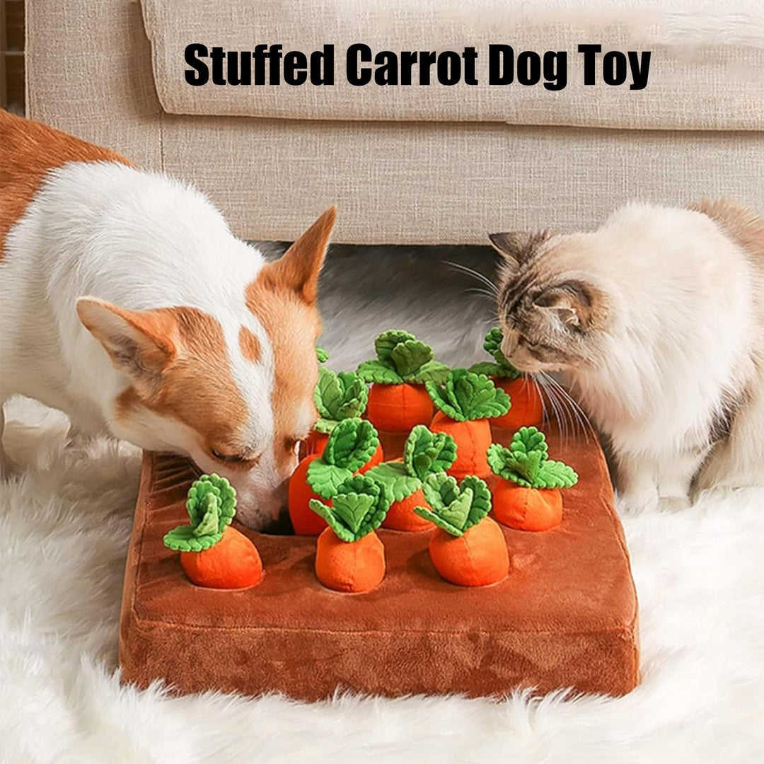 Pets sniffing plush carrot garden