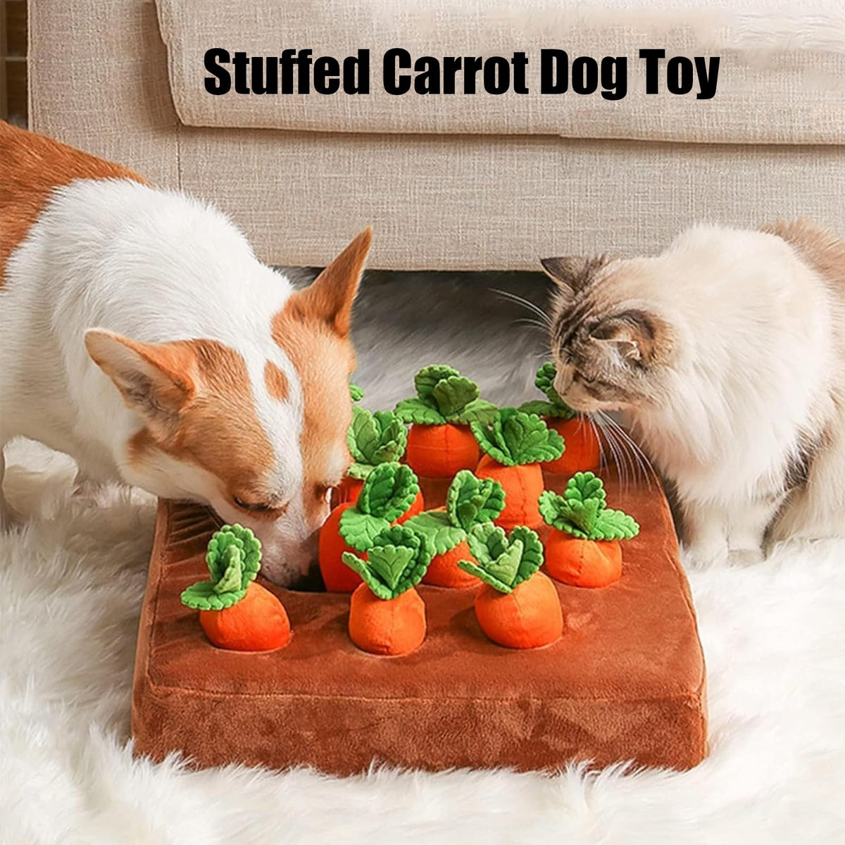 Pets sniffing plush carrot garden