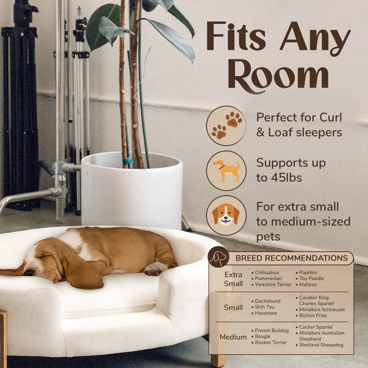 Calming Dog Bed by Home Furnishers; beige oval durable-fabric pet furniture with a sleeping dog