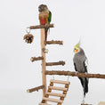 Cargar la imagen en la vista de la galería, Sichuan Pepper Parrot Climbing Training Platform Natural Solid Wood Frame Set With Size 37 26 45 by Sell My Stuff
