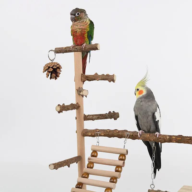 Sichuan Pepper Parrot Climbing Training Platform Natural Solid Wood Frame Set With Size 37 26 45 by Sell My Stuff