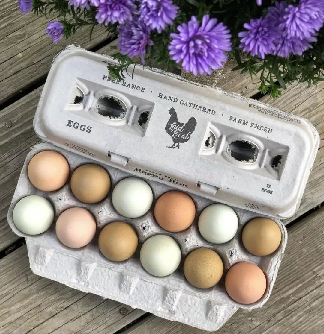 Laid Local egg carton with 12 assorted eggs in a cardboard carton