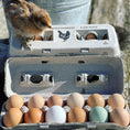 Load image into Gallery viewer, Henlay Laid Local egg cartons with a vintage design; 12 eggs in a gray carton, chicken logo visible.
