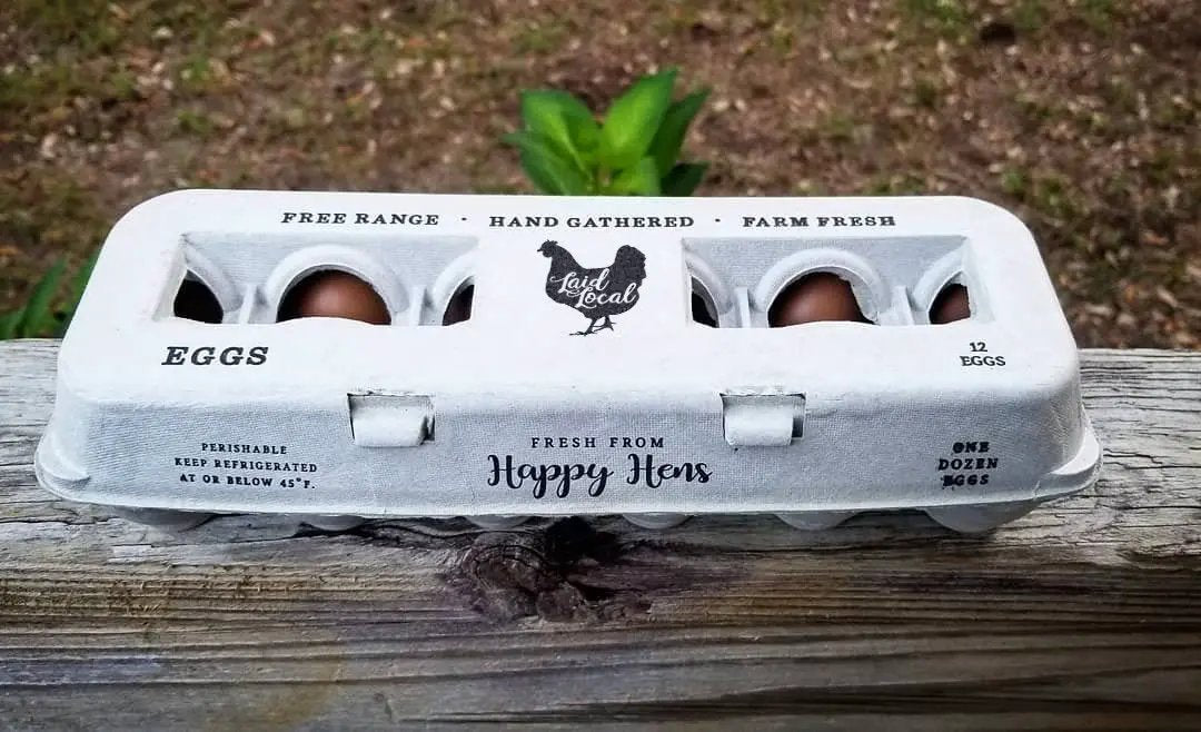 Laid Local egg carton, 1 dozen eggs, white/gray carton with vintage-style print and chicken logo