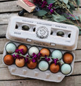 Load image into Gallery viewer, Henlay blank stamping egg cartons in a 12-egg cardboard carton with pastel blue and brown eggs
