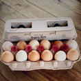 Load image into Gallery viewer, Henlay Blank Stamping Egg Cartons - 25, 90, or 250
