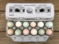 Load image into Gallery viewer, Henlay Blank Stamping Egg Cartons - 25, 90, or 250
