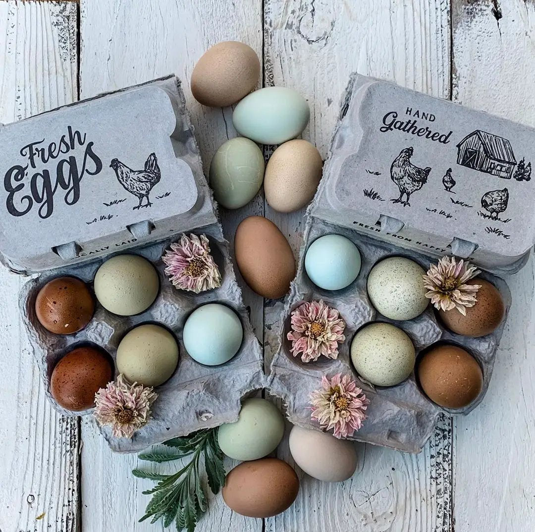 Two gray split-apart egg cartons holding 12 assorted eggs on a white wooden surface, with dried flowers.