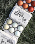 Load image into Gallery viewer, My Pet Chicken split-apart egg cartons holding 6 eggs each; two cartons shown with brown and pale blue eggs.
