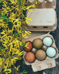 Load image into Gallery viewer, Half Dozen Egg Cartons - Henlay Blank Flat Top, Six Pack, 2 colors, 20 or 100
