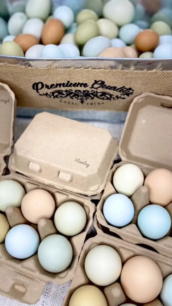 Egg cartons with pastel-colored eggs in a Henlay blank flat top six-pack, displayed on burlap packaging