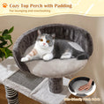 Charger l'image dans la visionneuse de la galerie, Cat Tree Kitten Tower by DirectDeals in gray plush fabric with sisal and jute scratching posts
